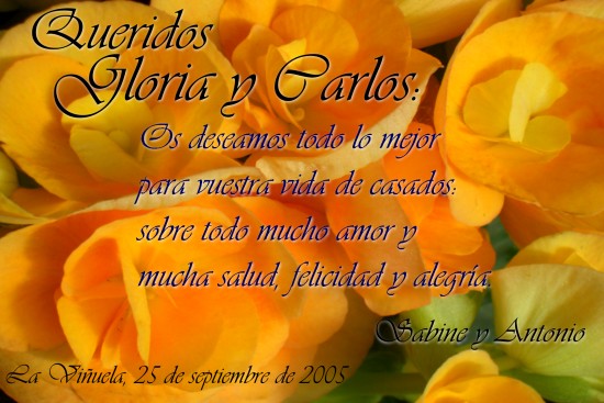 Grusskarte (c) 2005 proAspecto web design Hochzeitsgr��e 2
