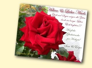 Greeting Card for a marriage with best wishes, a red rose and wedding rings.