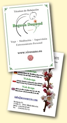 Fleyer mit kurzer Service-Information, Logo, Adresse f�r ProAspecto Webdesign