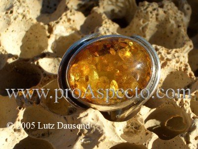 ProAspecto  Produkte (c) 2005 Lutz Dausend