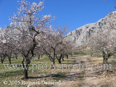 ProAspecto  Landschaften (c) 2005 Bogusia Dausend