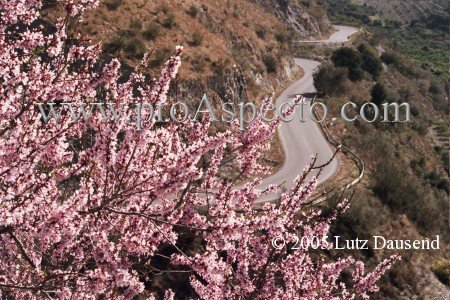 ProAspecto  Paisajes (c) 2005 Lutz Dausend
