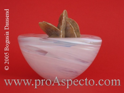 ProAspecto  Produkte (c) 2005 Bogusia Dausend