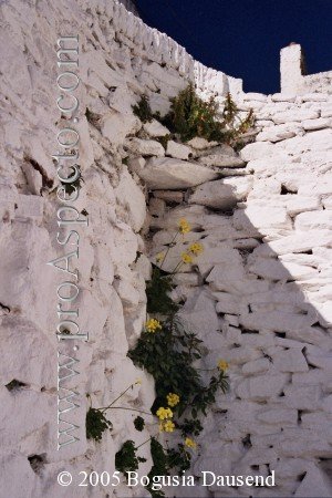 ProAspecto  Various (c) 2005 Bogusia Dausend