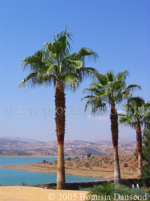 ProAspecto  Landscapes (c) 2005 Bogusia Dausend