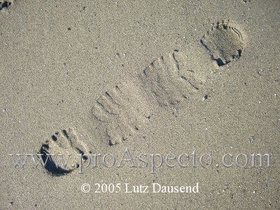 ProAspecto  Varios (c) 2005 Lutz Dausend