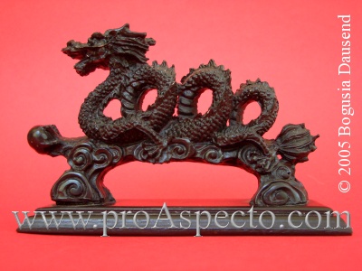 ProAspecto  Diverses (c) 2005 Bogusia Dausend