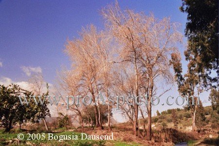 ProAspecto  Paisajes (c) 2005 Bogusia Dausend