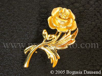 ProAspecto  Produkte (c) 2005 Bogusia Dausend