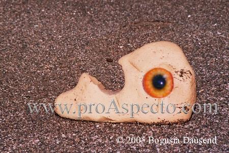 ProAspecto  Various (c) 2005 Bogusia Dausend