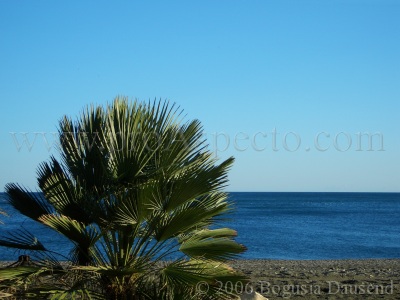 ProAspecto  Landscapes (c) 2006 Bogusia Dausend