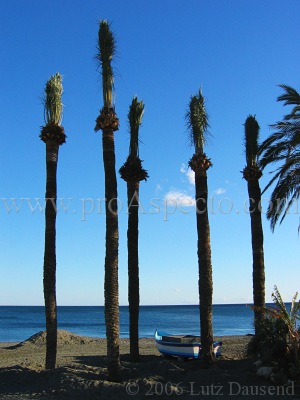 ProAspecto  Paisajes (c) 2006 Lutz Dausend