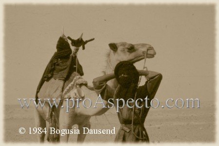 ProAspecto  Menschen (c) 1984 Bogusia Dausend